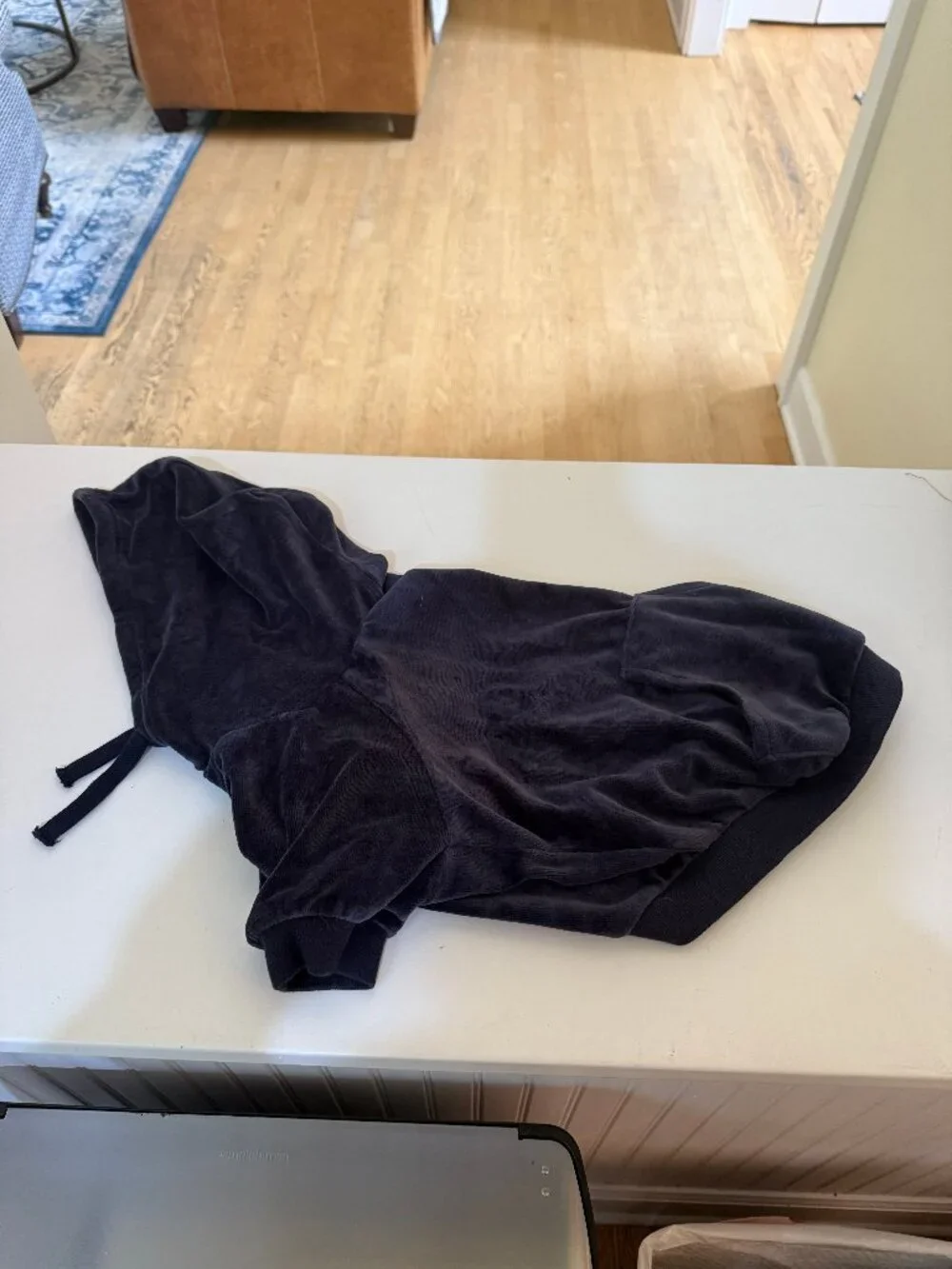 Pet Passion Cooper II Organic Cotton Velour Dog Hoodie Pet Coat for Small Dogs